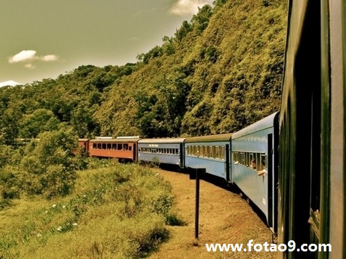 μճֺɫӣ,μճֺɫӣ