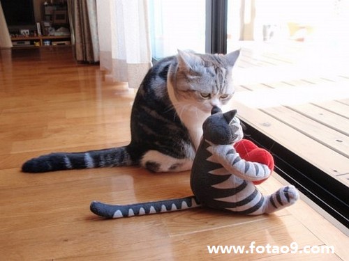 梦见支世朝,解梦梦见支世朝 梦见支世朝,解梦梦见支世朝