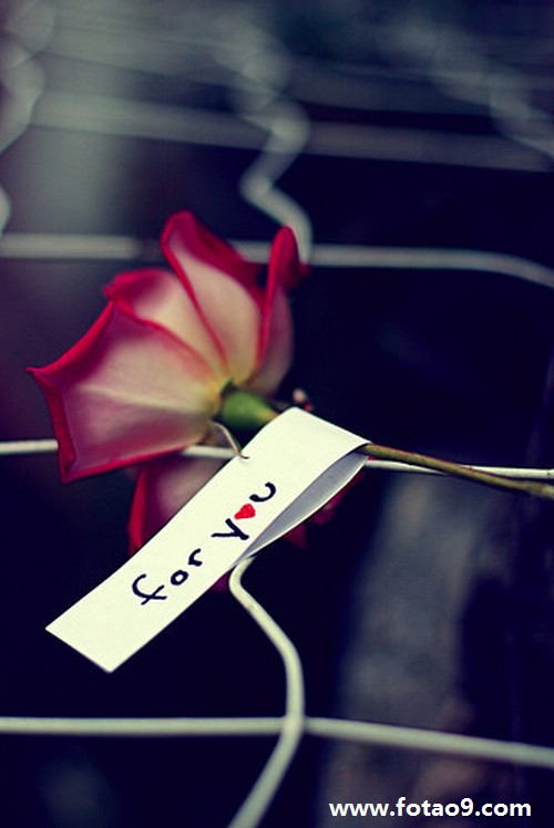 μүүԼ绰,μүүԼ绰