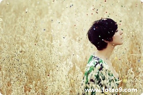 梦见前女友,梦境背后的情感预兆与心理解析 梦见前女友,梦境背后的情感预兆与心理解析