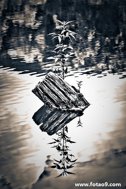 μĽ·,μĽ·