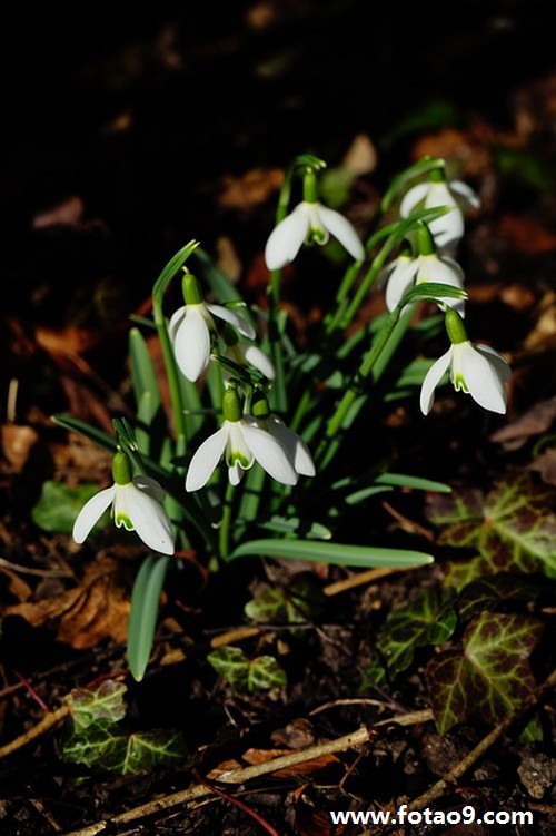 梦见门框大门很小我用铁丝缠上,解梦梦见门框大门很小我用铁丝缠上 梦见门框大门很小我用铁丝缠上,解梦梦见门框大门很小我用铁丝缠上