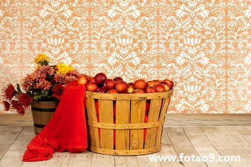 μѾȥĸ̳,μѾȥĸ̳