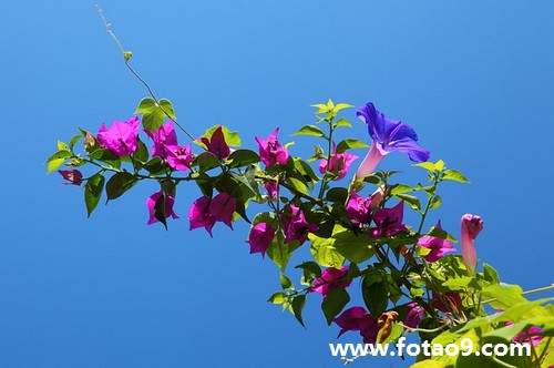 梦见领导送给自己一双旧的鞋,解梦梦见领导送给自己一双旧的鞋 梦见领导送给自己一双旧的鞋,解梦梦见领导送给自己一双旧的鞋