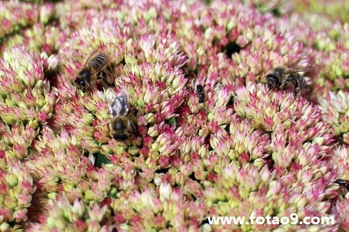 梦见打牌和别人争吵,解梦梦见打牌和别人争吵 梦见打牌和别人争吵,解梦梦见打牌和别人争吵
