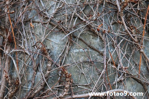 μӱ˻˴绰Ц,μӱ˻˴绰Ц