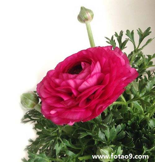 梦见别人给我生了六胞胎,解梦梦见别人给我生了六胞胎 梦见别人给我生了六胞胎,解梦梦见别人给我生了六胞胎