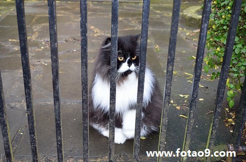 梦见被蜈蚣精咬,解梦梦见被蜈蚣精咬 梦见被蜈蚣精咬,解梦梦见被蜈蚣精咬