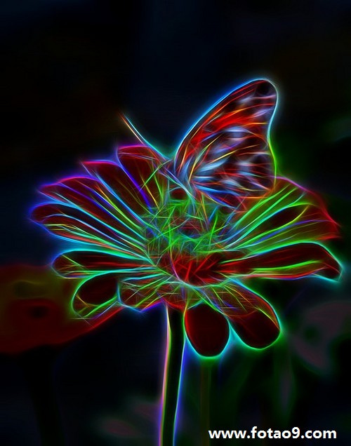 μһߺһ,μһߺһ