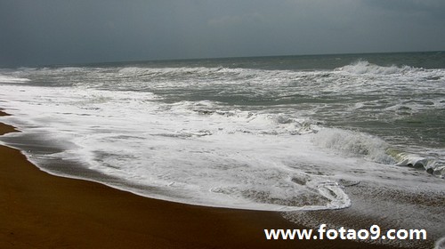 梦见母羊生两个小羊,解梦梦见母羊生两个小羊 梦见母羊生两个小羊,解梦梦见母羊生两个小羊