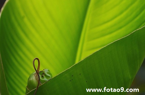 梦见男孩手里抓屎,解梦梦见男孩手里抓屎 梦见男孩手里抓屎,解梦梦见男孩手里抓屎