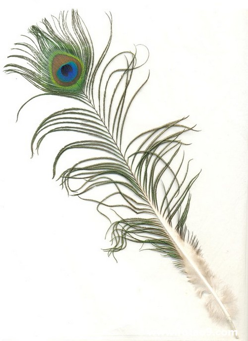μϴ,μϴ