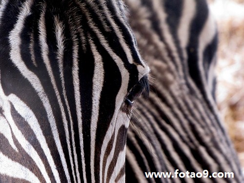 μͬѧڹ˾,μͬѧڹ˾