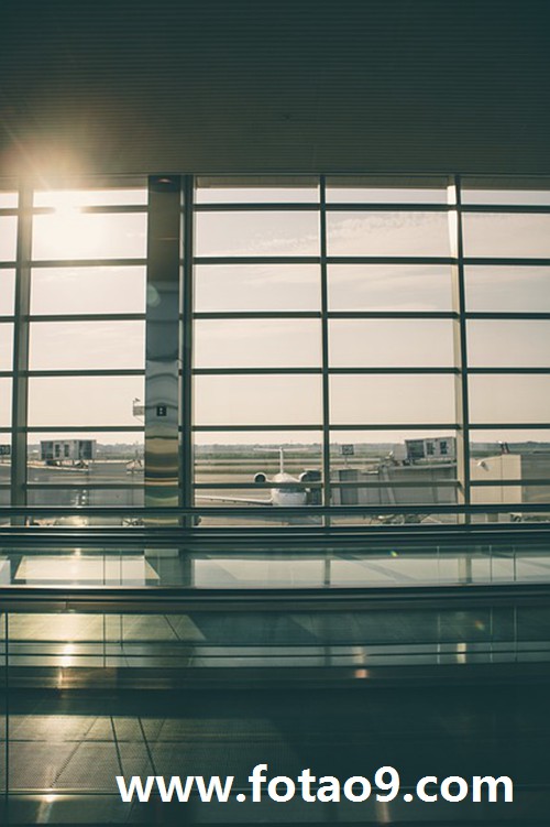 μ쵼̬ȺͰ,μ쵼̬ȺͰ