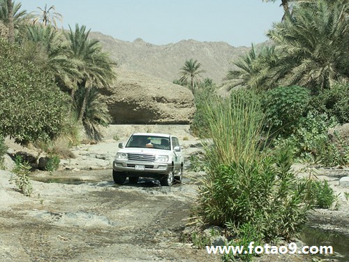 梦见去世奶奶池塘抓鱼,解梦梦见去世奶奶池塘抓鱼 梦见去世奶奶池塘抓鱼,解梦梦见去世奶奶池塘抓鱼