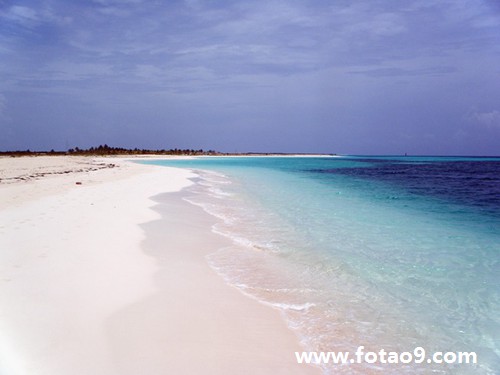 μ·ϵĵƬ,μ·ϵĵƬ