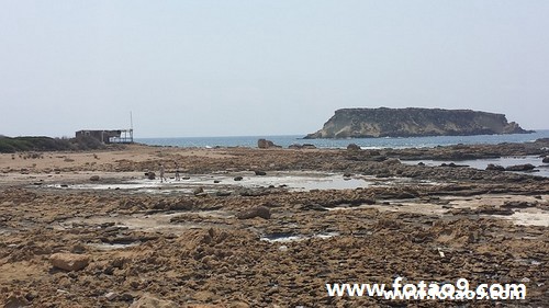 μо鱨,μо鱨