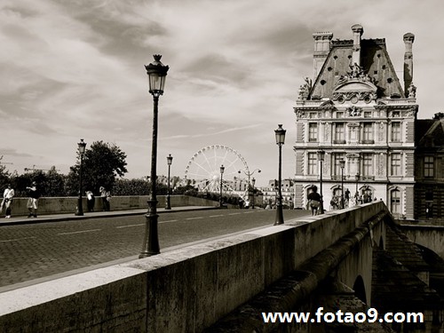 梦见狗在床边赶不走,解梦梦见狗在床边赶不走 梦见狗在床边赶不走,解梦梦见狗在床边赶不走