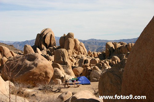 梦见满山遍野的水果,解梦梦见满山遍野的水果 梦见满山遍野的水果,解梦梦见满山遍野的水果