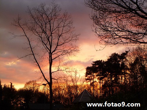 μǰһ쿼úܺ,μǰһ쿼úܺ