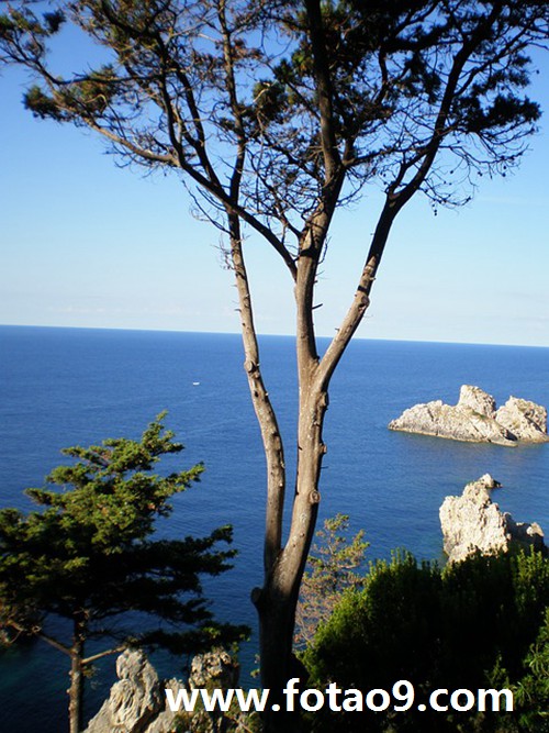 μŵȥȥ,μŵȥȥ