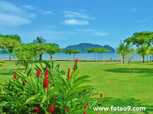 梦见厢式货车翻了,解梦梦见厢式货车翻了 梦见厢式货车翻了,解梦梦见厢式货车翻了