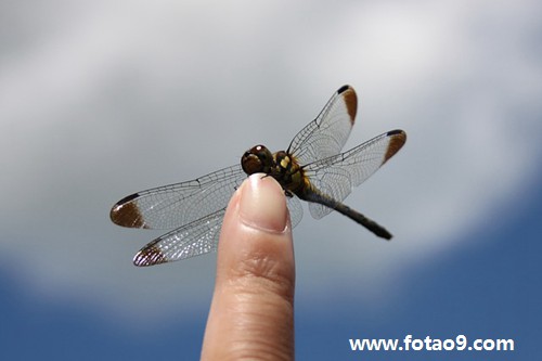 μҺͼ˰˴С,μҺͼ˰˴С