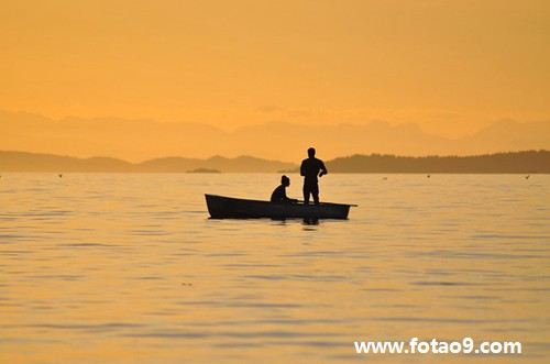 梦见鱼被鱼网困住,解梦梦见鱼被鱼网困住 梦见鱼被鱼网困住,解梦梦见鱼被鱼网困住