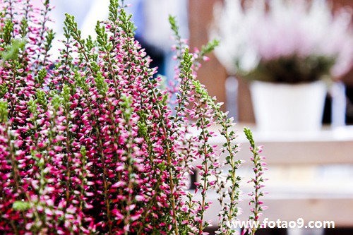 μôû취ϵ,μôû취ϵ