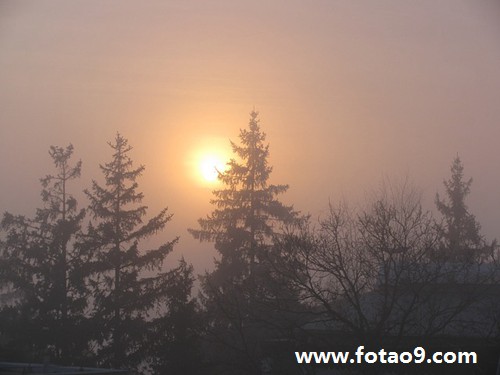 梦见我老姨家搬家,解梦梦见我老姨家搬家 梦见我老姨家搬家,解梦梦见我老姨家搬家