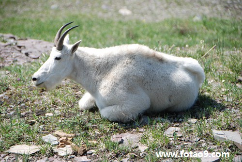 μɱͬѧʬ,μɱͬѧʬ