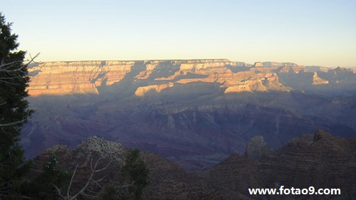 梦见熊咬我胳膊,解梦梦见熊咬我胳膊 梦见熊咬我胳膊,解梦梦见熊咬我胳膊