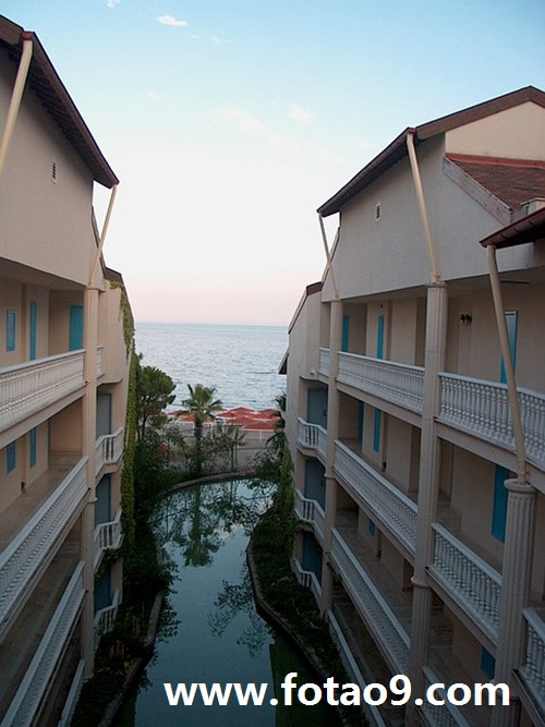 μԼվڸ߶ǿ,μԼվڸ߶ǿ