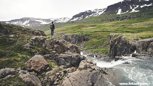 梦见骑水牛旁边还有两头,解梦梦见骑水牛旁边还有两头 梦见骑水牛旁边还有两头,解梦梦见骑水牛旁边还有两头