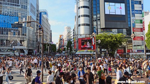 μ˼ҳҿǹû,μ˼ҳҿǹû