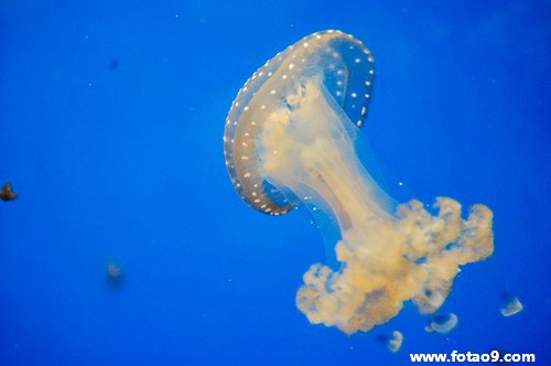 μɽץ˺öϺ,μɽץ˺öϺ