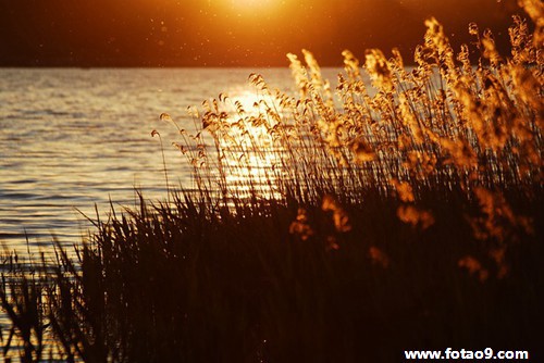梦见了彩票数字,解梦梦见了彩票数字 梦见了彩票数字,解梦梦见了彩票数字