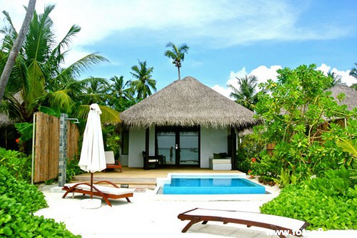 μ˸ҪǮ,μ˸ҪǮ