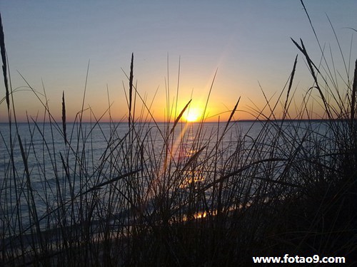 梦见家里来了很多孔雀,解梦梦见家里来了很多孔雀 梦见家里来了很多孔雀,解梦梦见家里来了很多孔雀