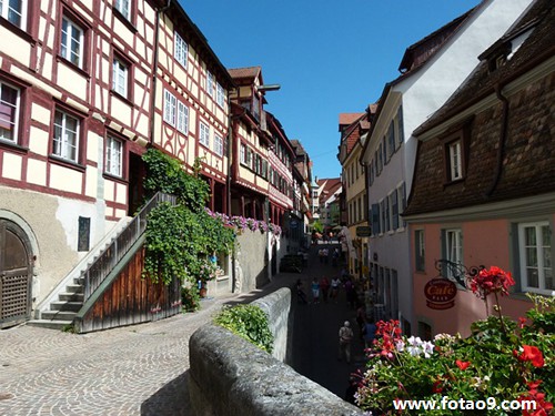 梦见老虎攻击老婆,解梦梦见老虎攻击老婆 梦见老虎攻击老婆,解梦梦见老虎攻击老婆