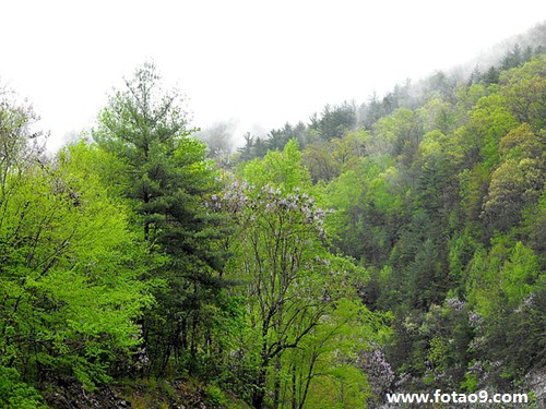 梦见被日本人搜查,解梦梦见被日本人搜查 梦见被日本人搜查,解梦梦见被日本人搜查