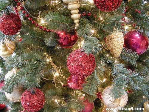 梦见和老公爬悬崖,解梦梦见和老公爬悬崖 梦见和老公爬悬崖,解梦梦见和老公爬悬崖