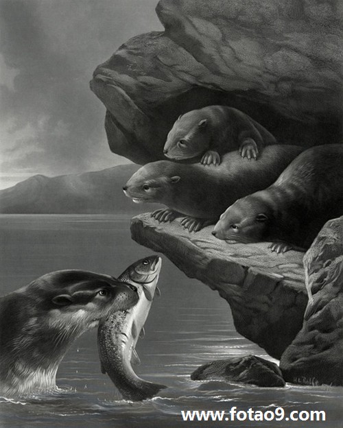 μƱǮ,μƱǮ