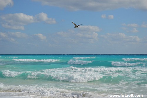 梦见家牛在栏中,解梦梦见家牛在栏中 梦见家牛在栏中,解梦梦见家牛在栏中