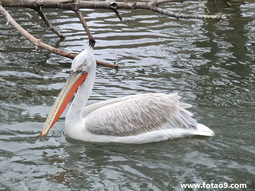 梦见口渴买矿泉水没买到,解梦梦见口渴买矿泉水没买到 梦见口渴买矿泉水没买到,解梦梦见口渴买矿泉水没买到