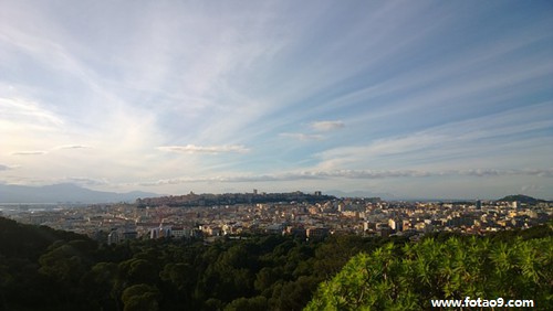 梦见猫追蛇蛇钻进被子里,解梦梦见猫追蛇蛇钻进被子里 梦见猫追蛇蛇钻进被子里,解梦梦见猫追蛇蛇钻进被子里