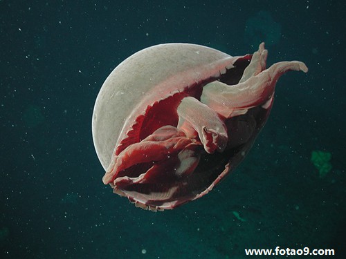 梦见我在像仙境的地方拍照,解梦梦见我在像仙境的地方拍照 梦见我在像仙境的地方拍照,解梦梦见我在像仙境的地方拍照