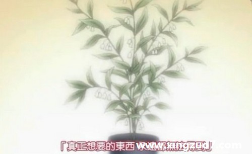 ʦ201591