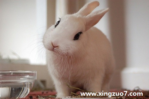 èһ(2015.4.6-4.12)4