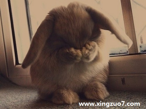 ռһ(2015.4.6-4.12)4